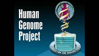 Human genome project Bioinformatics [upl. by Ellertnom916]