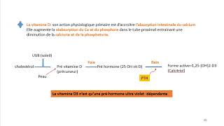 Cours dEndocrinologie vidéo 7  Les Parathyroïdes [upl. by Htiderem]