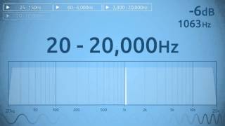 20  20000 Hz Audio Sweep  Range of Human Hearing [upl. by Sidnac]