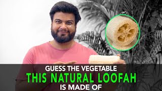 Guess The Vegetable This Natural Loofah Is Made Of  Anuj Ramatri  An EcoFreak [upl. by Lynda]