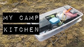 MY CAR CAMPING KITCHEN Cheap VandwellingOverlanding Cooking Setup [upl. by Fleur]