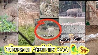 Zoological Garden Alipore Kolkata White Tigar 🦁🐅 [upl. by Eaner]