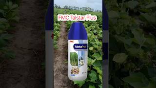 FMC Talstar Plus Bifenthrin 8  Clothianidin 10 SC Insecticideinsecticidefertilizer 🌿 [upl. by Elocel]