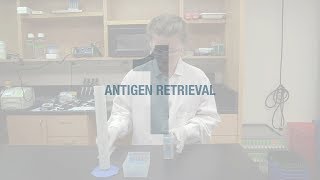 Better IHC Step 1 Antigen Retrieval [upl. by Bacchus]