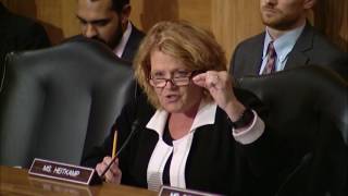 Heitkamp Holds Wells Fargo Accountable for Unauthorized Accounts at Senate Hearing [upl. by Ayatnwahs355]