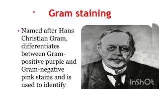 Bactarial staining basic method part1 gramstaining staining [upl. by Thursby868]