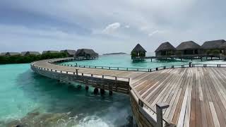 Milaidhoo Island Maldives  nice walking from Water 💦 Villas to Island 🏝️ [upl. by Trueman]