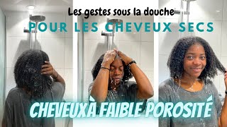 MA ROUTINE CAPILLAIRE CHEVEUX CREPUS SECS  UN WASHDAY POUR CHEVEUX SECS ET PEU POREUX [upl. by Stillman]