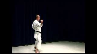 Shotokan Karate Kata Brown Belt Kata [upl. by Cence]