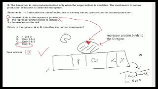 Cellular control OCR A Level Biology walkthrough [upl. by Enyawd912]