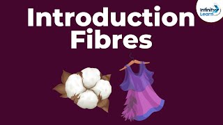 Fibres to Fabrics  Introduction  Types of Fibres  Dont Memorise [upl. by Ettenav]