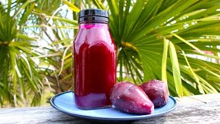 How to Make Homemade Prickly Pear Cactus Juice [upl. by Aydan]