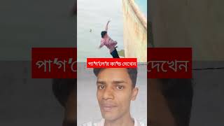 পাগলের কান্ড দেখেন shortsfeed funny shortvideo viralvideo comedy [upl. by Akcirred]