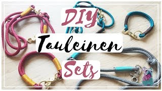 DIY TAULEINE  TAUHALSBAND für den HUND  frauchensliebling [upl. by Silda197]