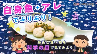 料理は科学！☆魚のすり身だんご♪ [upl. by Bensky]