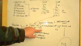 Proprionic Acidemia  Simplified Explanations for USMLE Step 1 [upl. by Ase65]