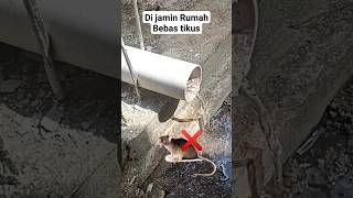 ideas for making dirty water pipe covers at home short tutorial idea [upl. by Alol]