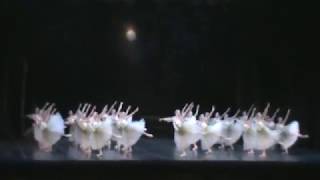 quotGisellequot  MYRTHA  Ballet do Theatro Municipal RJ PARTE3 [upl. by Nelav]