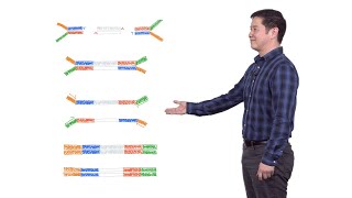 Next Generation Sequencing 2 Illumina NGS Sample Preparation  Eric Chow UCSF [upl. by Netti]