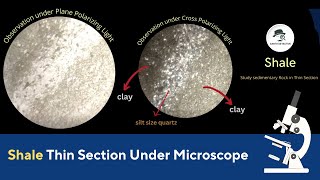 Shale Thin Section under Microscope with optical Properties of Rocks [upl. by Carrington410]