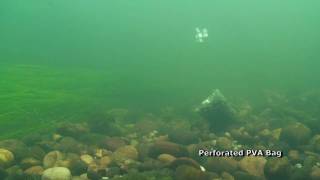 Barbel  PVA Bags Underwater Revealed [upl. by Godard]