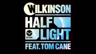 Wilkinson  Half Light ft Tom Cane RAM [upl. by Aerbua159]