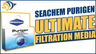 Seachem Purigen Ultimate Filtration Media What YOU Need to Know [upl. by Cousin]