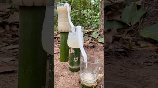 Survival Skills Amazing Dirty Water Purification Filter survival bushcraft camping shorts [upl. by Ailec]