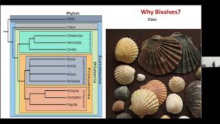 Guest Lecture Aniket Mitra  Revisiting Paleogene through the migration pattern of Bivalvia [upl. by Ayokal]