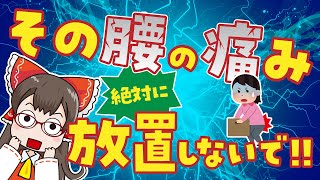 【カラダのプロが解説】その腰痛、病気のサインかもよ？裏に潜む5つの病気を解説【ゆっくり解説】 [upl. by Merilee]