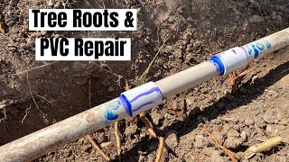 Septic Drain Field clogged with Tree Roots and PVC Repair [upl. by Amitak]