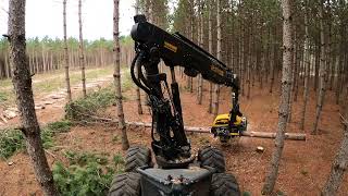 2014 Ponsse Ergo 8w harvesting 2nd thinning red pine [upl. by Ahsoek]