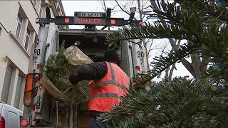 Agglomération Lyonnaise Collecte des sapins [upl. by Sophey]