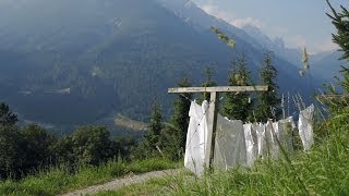 Stubaital Sommer in den Bergen I Tiroler Alpen ⛰ [upl. by Norine359]