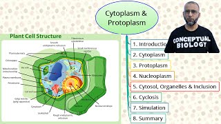 Cytoplasm and Protoplasm with Dr Sohail Jamil Qureshi  MDCAT Biology [upl. by Lilli500]