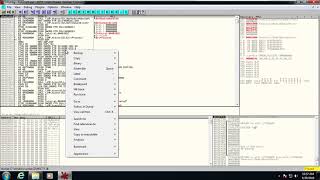 Ollydbg Video 1 [upl. by Ecar]