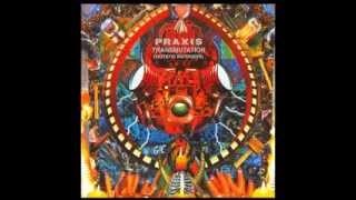 Full Album Praxis  Transmutation [upl. by Aveneg]