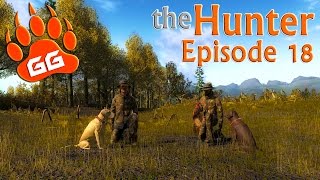 theHunter Episode 18  Dogs [upl. by Borchers]