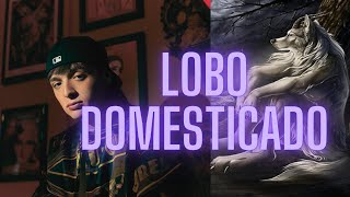 Lobo Domesticado  Peso Pluma AI Cover  Valentin Elizalde IA [upl. by Lynett]