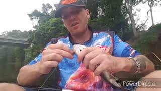 Fishing for bass in the caboolture river [upl. by Eiznil945]