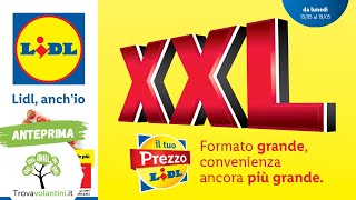 VOLANTINO LIDL dal 13 al 19 maggio 2024 anteprima [upl. by Aisetra880]