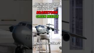 Which Do You Hear Brainstorm Or Green Needle aviation funny illusion shorts viral cute [upl. by Arlena]