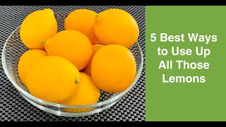 What to do with Lemons 🍋🍋🍋 5 Best Ways to Use Up All Those Lemons [upl. by Elena916]