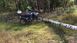 BMW F 850 GS and tree log [upl. by Lamrej]