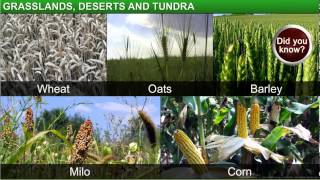 GeographyClass 7thChapter 6Natural Vegetation and WildlifeModule 3Grassland Desert and Tundra [upl. by Eatnuahs]