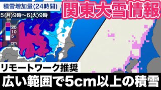 【関東大雪情報】広い範囲で5cm以上の積雪を予想 [upl. by Jarrod]