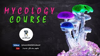 محاضرات كورس علم الفطريات Mycology  محاضرة 7 Mastigomycotina [upl. by Fairfield]