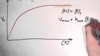 Biochemistry 93 Enzyme kinetics part 2 [upl. by Wiese]