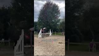 horse equestrian pourtoi pony equestrianlife shorts shortvideo fyp foryou short occasion [upl. by Eelime621]