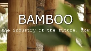 BAMBOO  The industry of the future now [upl. by Lleuqar]